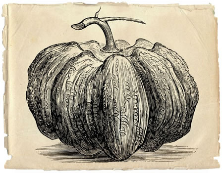 Calabaza grabado