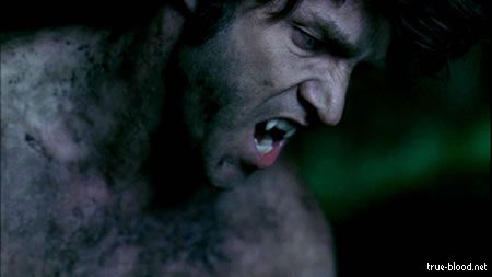 true blood true blood