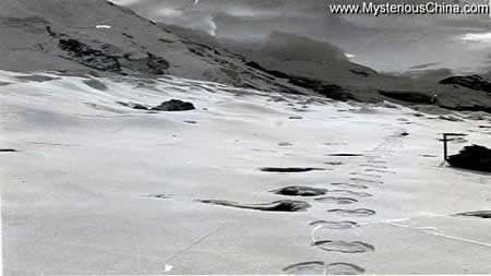 huellas del Yeti huellas del Yeti