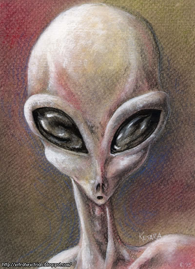 dibujo