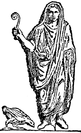 augur augur