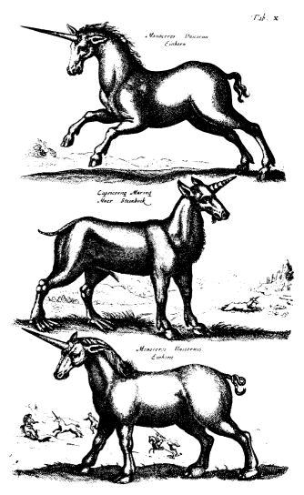 unicornios unicornios