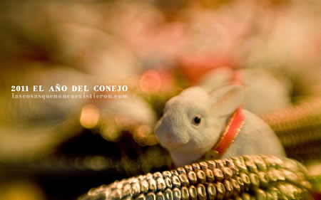 Año del Conejo Año del Conejo