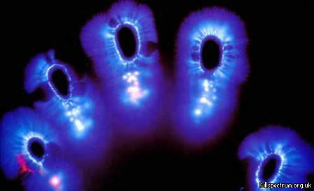 foto kirlian 1 foto kirlian 1