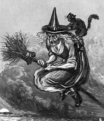 gato y bruja gato y bruja