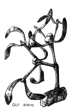 Muerdago