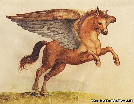 pegaso pegaso