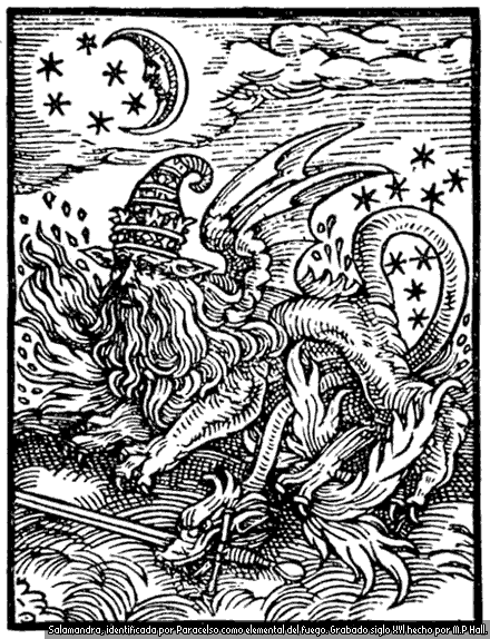 Salamandra elemental del fuego Salamandra elemental del fuego