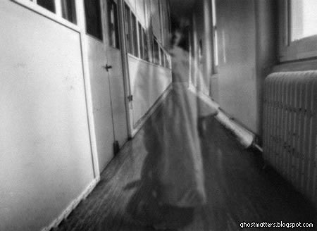 hospital terror1