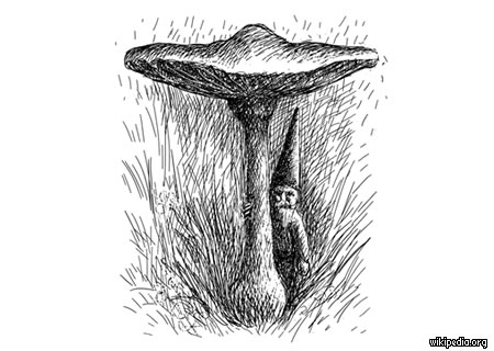 gnomo wikipedia