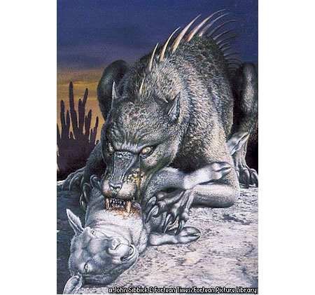 chupacabra