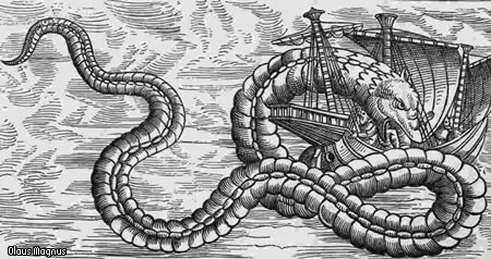 Olaus Magnus