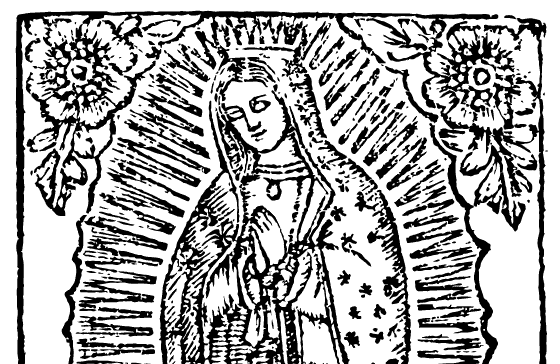  La vida de la virgen de Guadalupe
