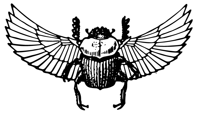 Escarabajo de Egipto